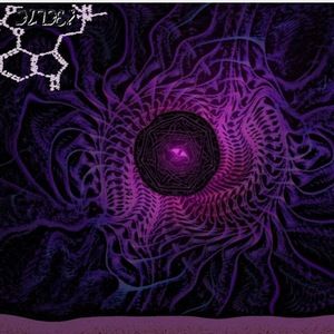 Meet your Posher, Elevidence